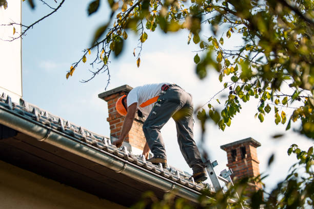 Best Green or Eco-Friendly Roofing Solutions  in Sonoma State University, CA