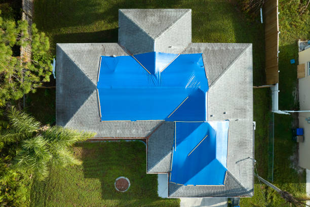 Best Roof Ventilation Installation  in Sonoma State University, CA