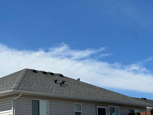 Best Metal Roofing Installation  in Sonoma State University, CA